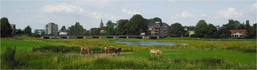 Hardenberg met de Vecht